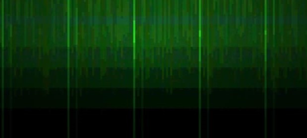 Noise Survey